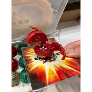 el_img1